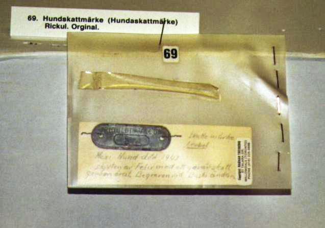 Hundskattemärke