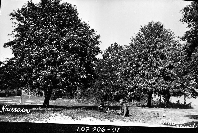 B107206-01