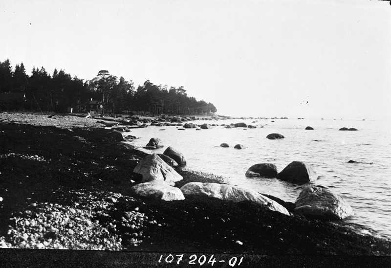 B107204-01